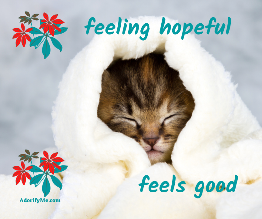 Happy Tuesday. Optimistic coronavirus news… and the cutest tiny kitten ever!!